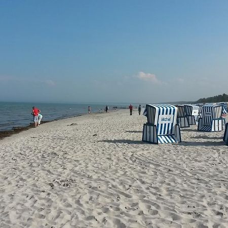 Loui'S Fewo Wiek Wiek auf Ruegen Exterior foto